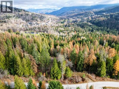766 Drakes Road, Rossland