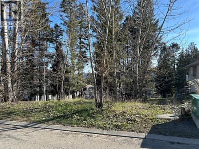 274 Calcite Drive, Logan Lake