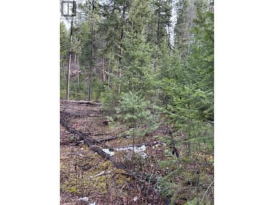 4797 Birch Lane, Barriere