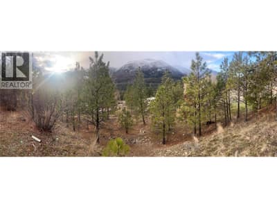 Panoramic view