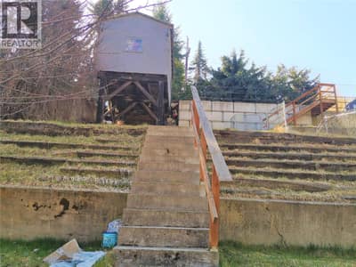 yard - when cleaned of vegetation