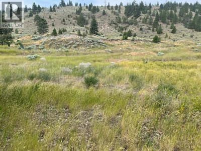 1129 Midday Valley Road, Merritt