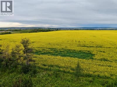 223 Road, Dawson Creek
