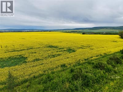 223 Road, Dawson Creek