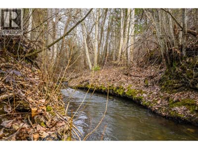 487 Mabel Lake Road, Lumby