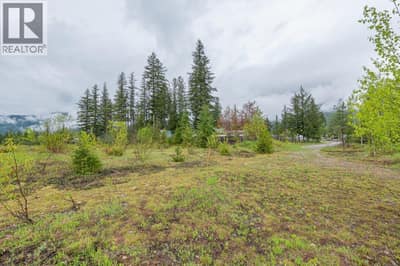 4103 Balsam Way, Malakwa