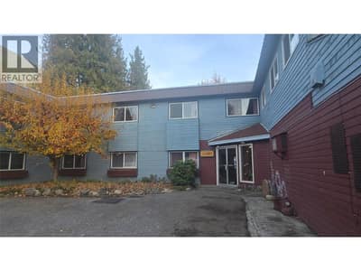 509 Slocan Avenue, New Denver