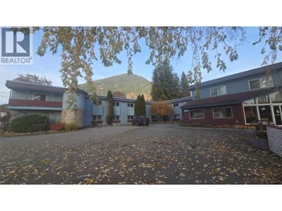 509 Slocan Avenue, New Denver