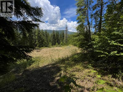 7498 Highway 6, Winlaw