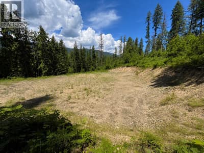 7498 Highway 6, Winlaw