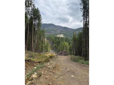 DL 10766 Giant Mine Road, Spillimacheen