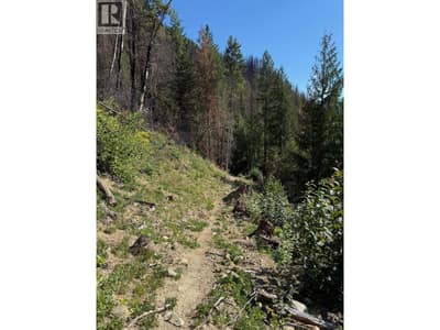 Lot 2 Martens Road, Slocan