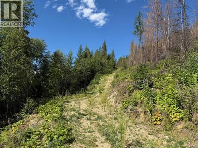 Lot 2 Martens Road, Slocan