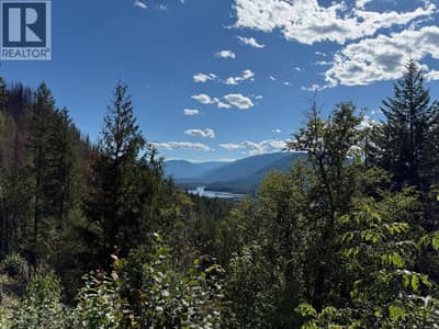 Lot 2 Martens Road, Slocan