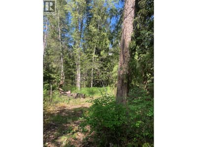 Lot A Squilax-Anglemont Road, Lee Creek