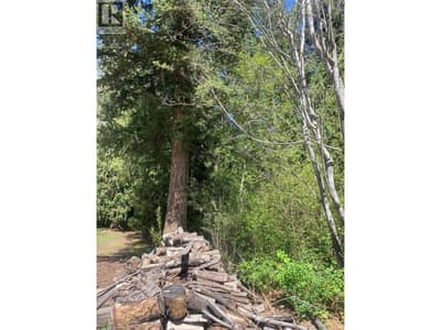 Lot A Squilax-Anglemont Road, Lee Creek