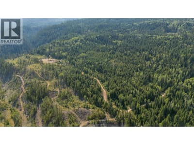 LOT 1 ELLIOT FOREST SERVICE Road, Lemon Creek