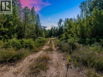 LOT 1 ELLIOT FOREST SERVICE Road, Lemon Creek