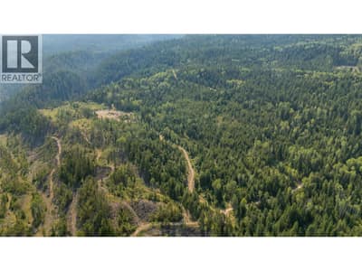 LOT 1 ELLIOT FOREST SERVICE Road, Lemon Creek