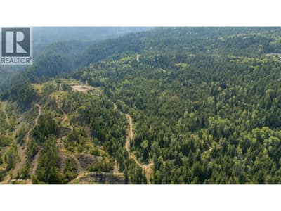 LOT 1 ELLIOT FOREST SERVICE Road, Lemon Creek