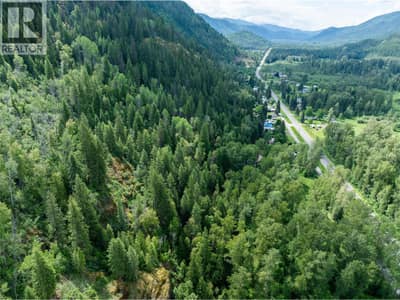 Airport Road Lot# 38, Salmo