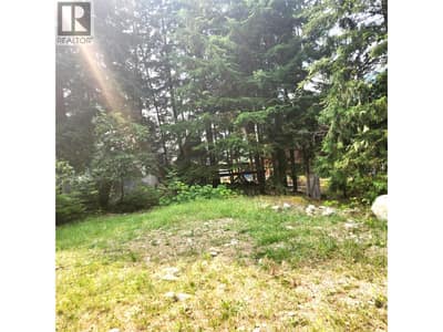 1111 Harold Street, Slocan