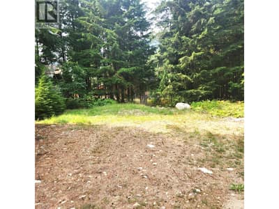 1111 Harold Street, Slocan