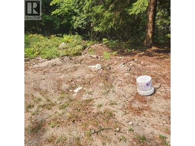 1111 Harold Street, Slocan