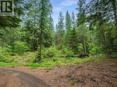 Claybrick Road Lot# 15, Winlaw
