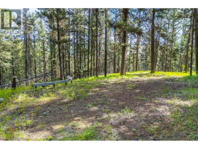 537 Wild Rose Drive, Merritt