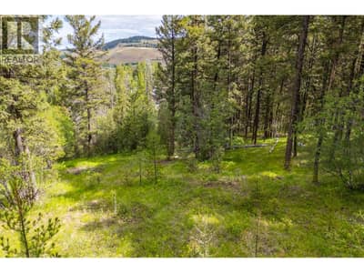 537 Wild Rose Drive, Merritt