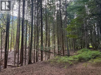 3945 Saunders Road, Passmore