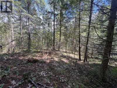 Lot 2 LOIS Lane, Winlaw