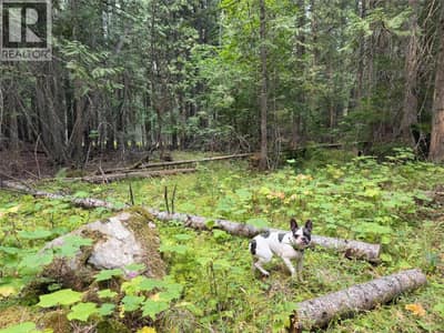 Harrop-Procter Road Lot# E, Procter
