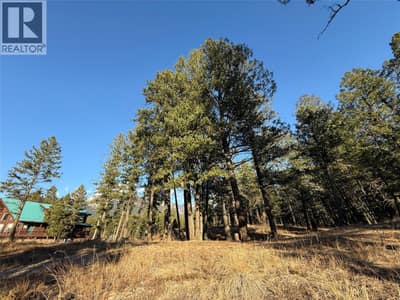 Lot 5 Crooked Tree Place, Fairmont Hot Springs
