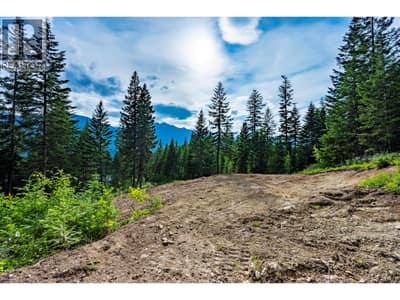 Lot 31 COUGAR Drive, Golden