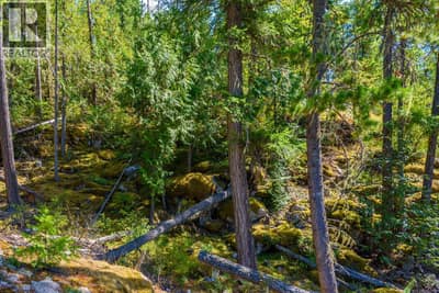 Lot A & Lot 6 Anstey Arm, Sicamous