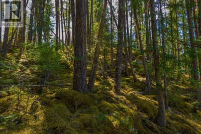 Lot A & Lot 6 Anstey Arm, Sicamous