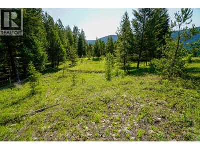 Lot 8 Mary G Road, Beaverdell
