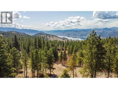 250 Longjoe Road, Osoyoos