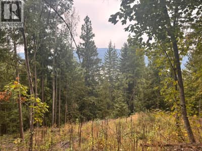 Lot 151 Columbia Drive, Anglemont