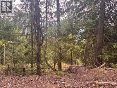 Lot 151 Columbia Drive, Anglemont