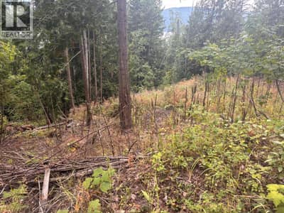 Lot 151 Columbia Drive, Anglemont
