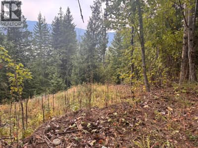 Lot 151 Columbia Drive, Anglemont