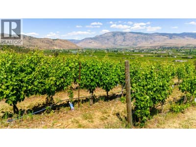 583 Tinhorn Creek Road, Oliver