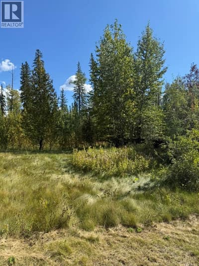 111 Kinuseo Avenue, Tumbler Ridge