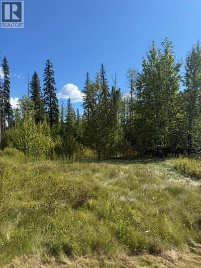 111 Kinuseo Avenue, Tumbler Ridge