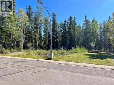 115 Red Willow Avenue, Tumbler Ridge