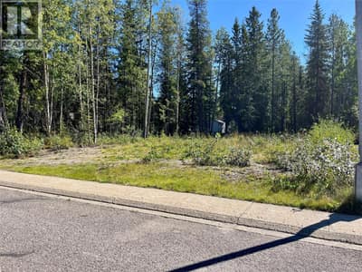 115 Red Willow Avenue, Tumbler Ridge