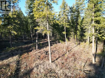 Lot 1 Caitlin Road, Christina Lake
